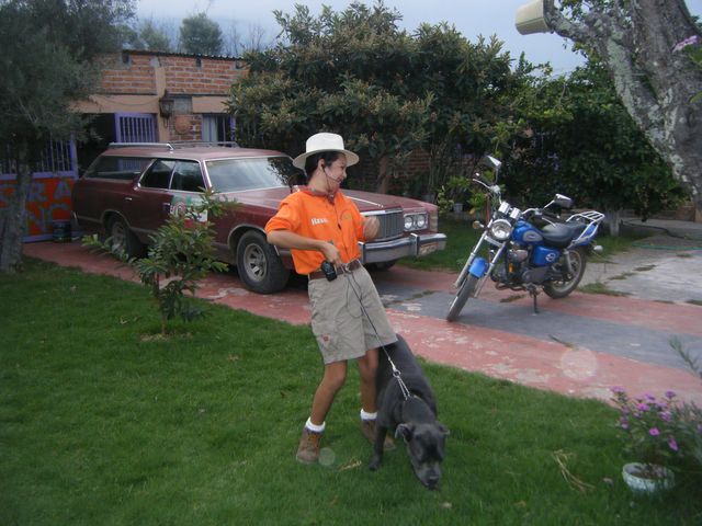 El despapalle de Haxel.
